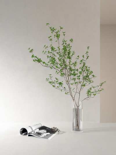 水生植物3D模型下载